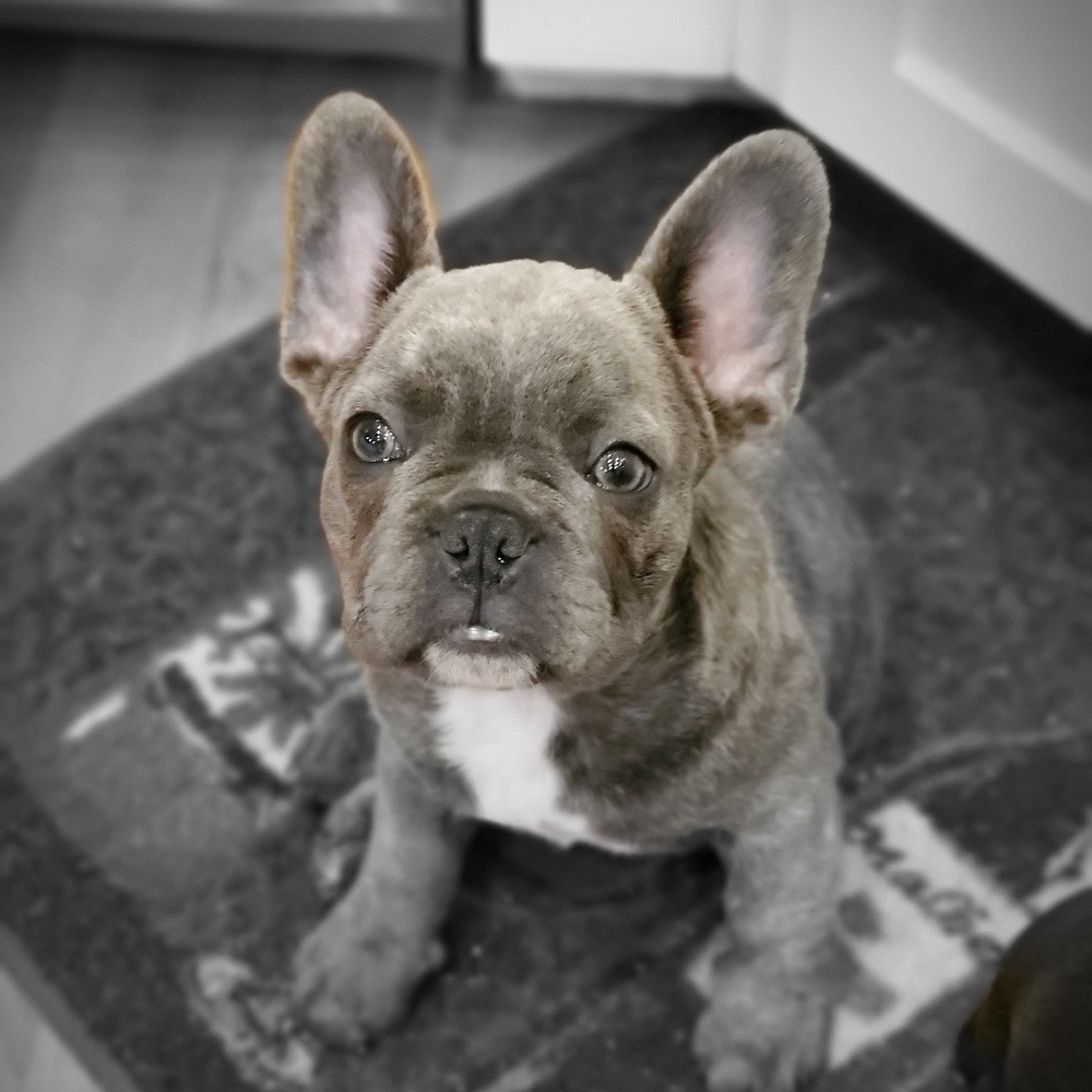 Meet your Posher, Tina